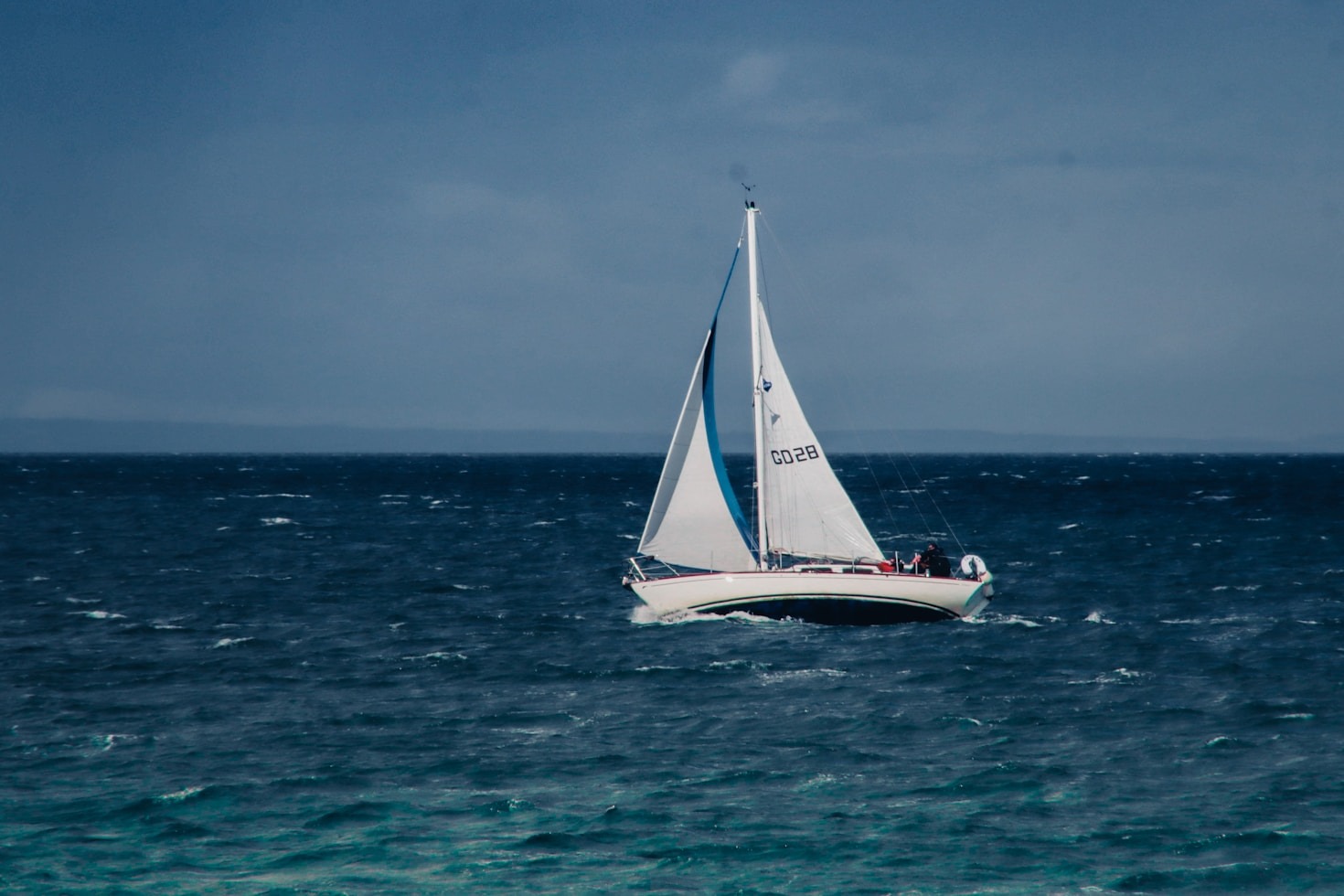 Building Connections Through a Shared Love for the Sea